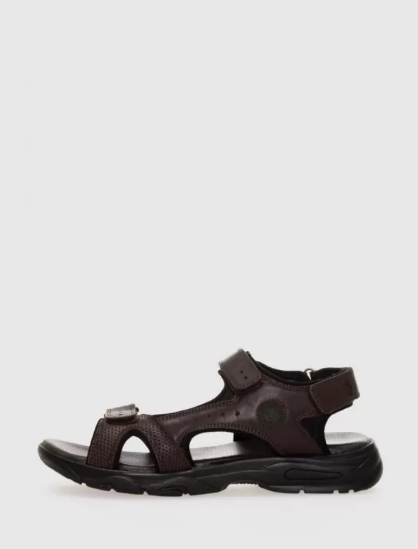 CORONEL TAPIOCCA Californiana C2220 Marron>Hombre Californianas