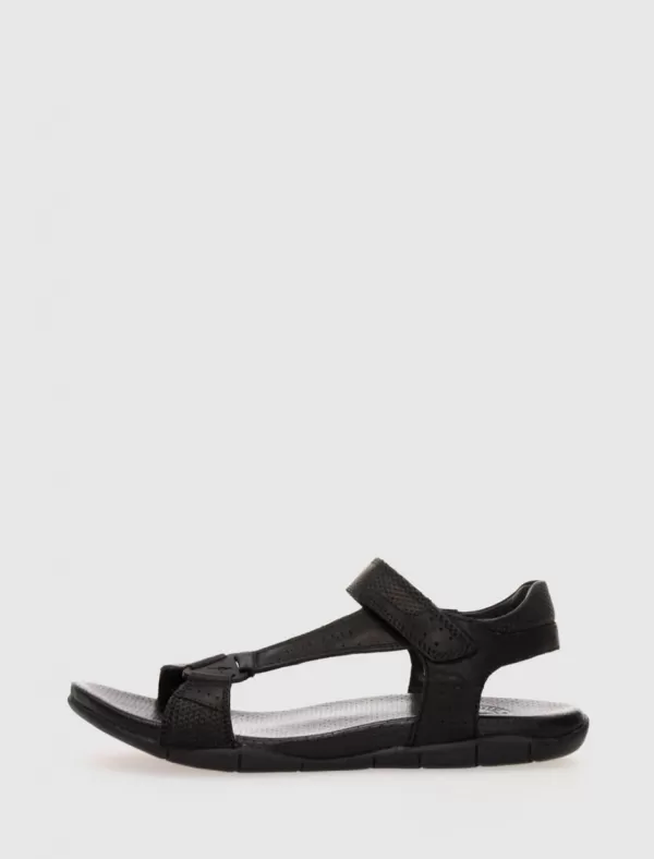 KANGAROOS Californiana 329 Negro>Hombre Californianas