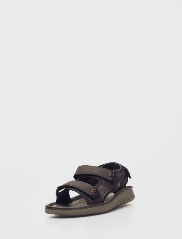 CLARKS Californianas Wesley Bay Marron>Hombre Californianas