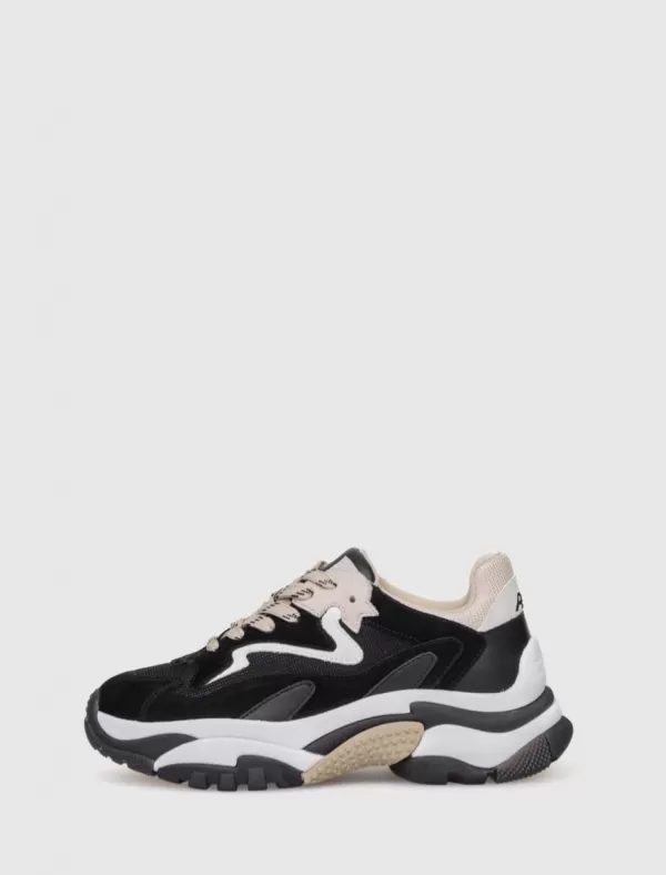 ASH Zapatilla Addict Negro>Mujer Zapatillas