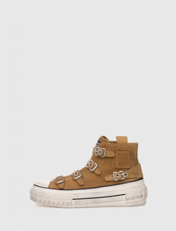 ASH Zapatilla Rainbow03 Marron>Mujer Zapatillas