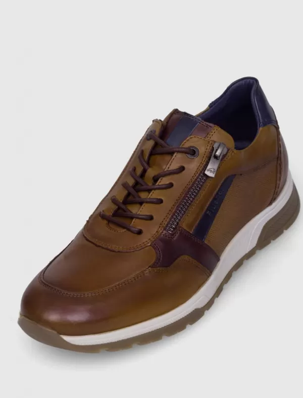 FLUCHOS Zapato F1600 Camel>Hombre Zapatos