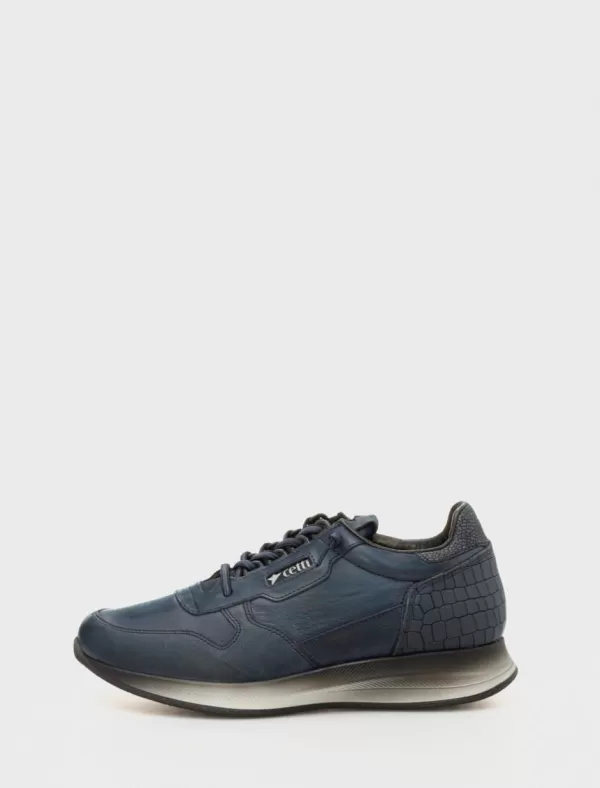 CETTI Zapatos 1242 Marino>Hombre Zapatos